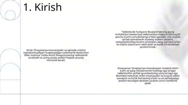 Tadbirkorlik Faoliyatini Rivojlantirishning Asosiy Yo’Nalishlari. Shveysariya 2