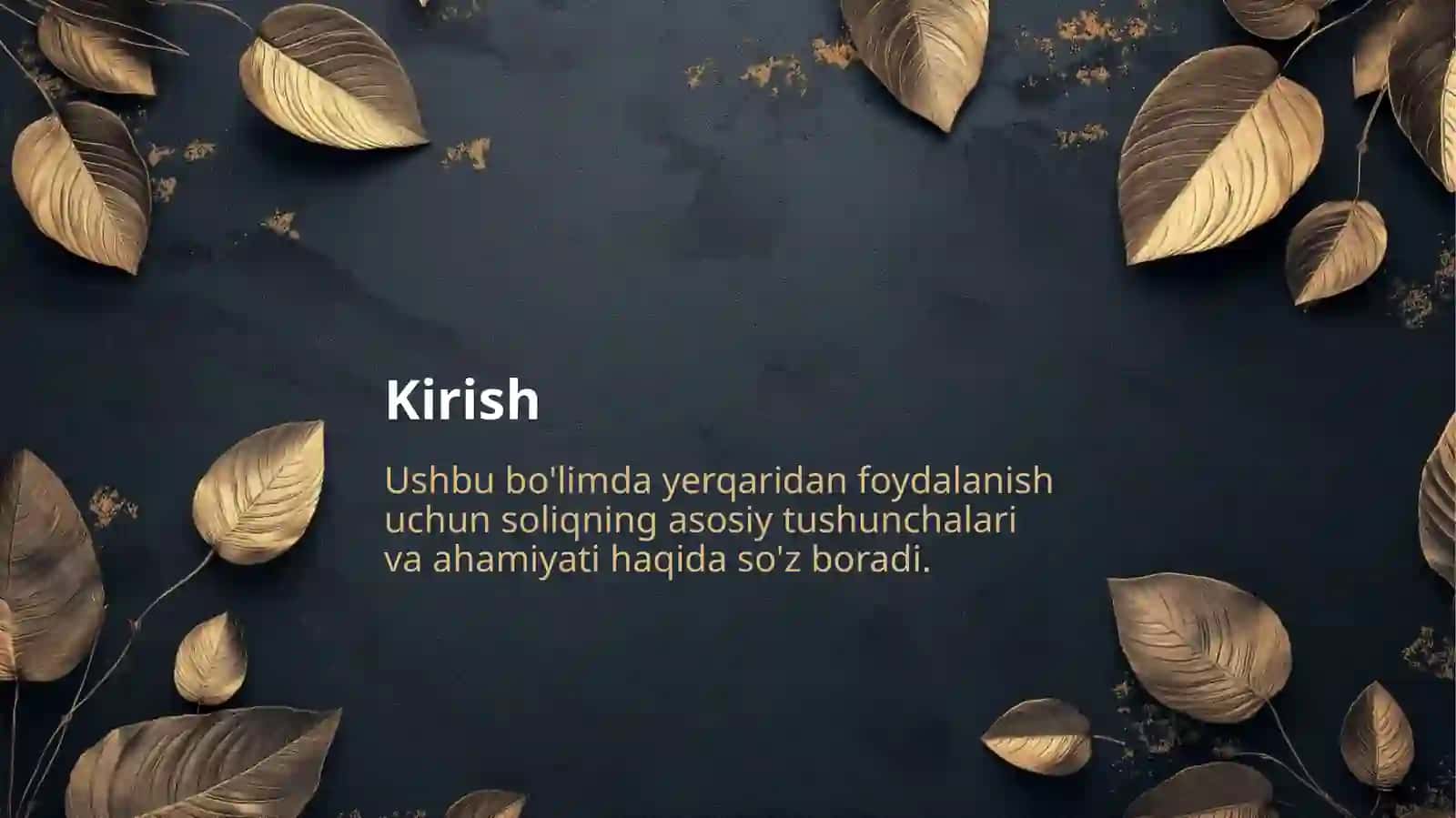 Yerqaridan foydalanish uchun Soliq 2