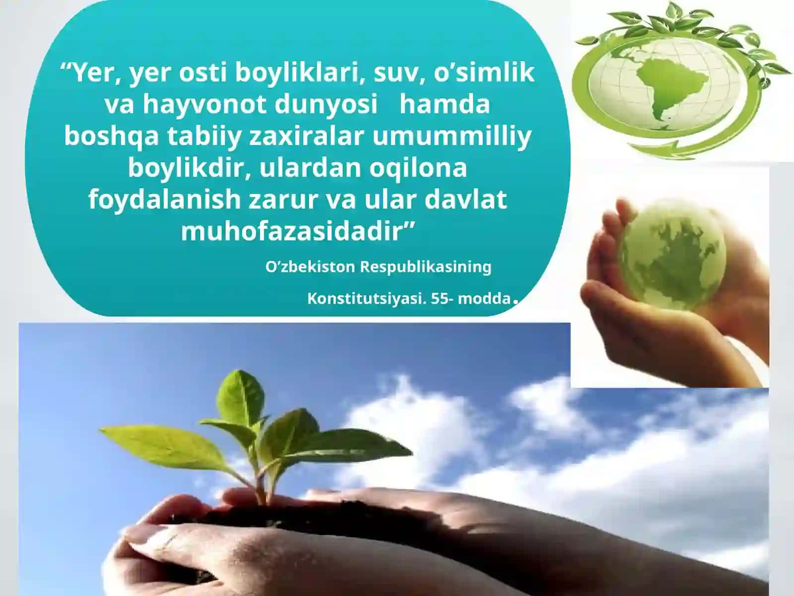 O’simliklar sistematikasi haqida tushuncha 2