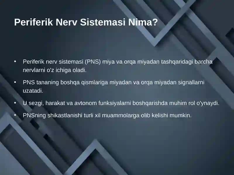 Periferik Nerv Sistemasi 2