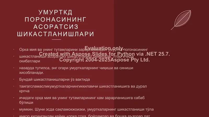 Kattalar va bolalarda umurtqa poğonasi shikastlanishlari. Chanoq suyaklarini sinishlari. Son suyagining shikastlanishi. 2