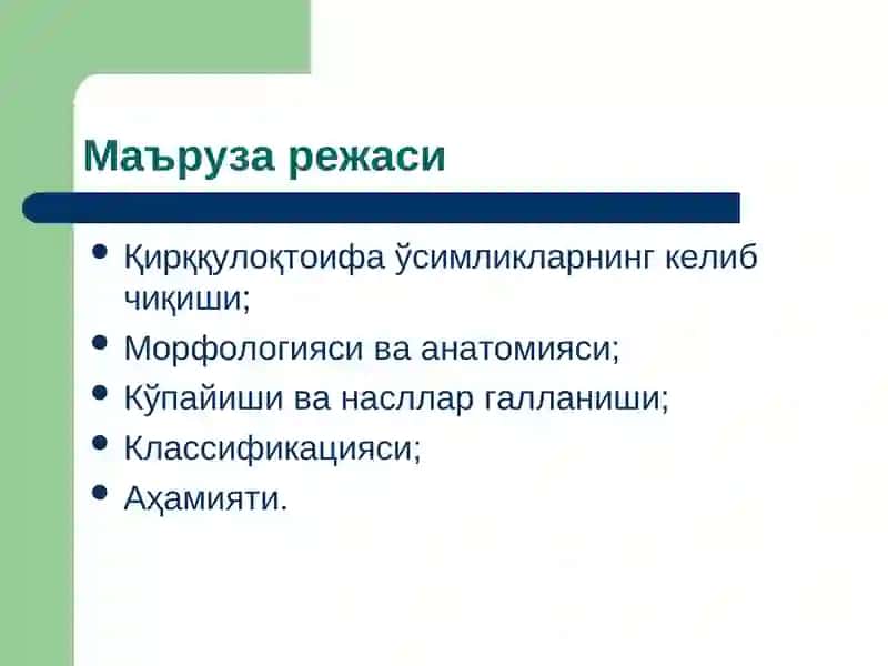 Қирққулоқтоифа ўсимликлар (Polypodiophyta) бўлими(презентация) 2