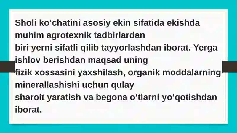 sholinikoʻchatusulidayetishtirishtexnologiyasi 2