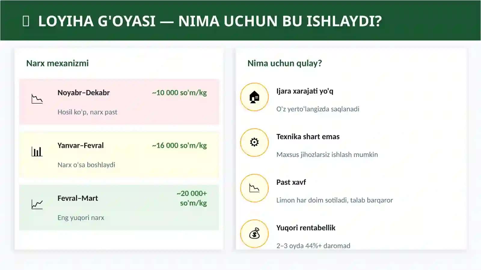 (100 millionlik loyiha ishi)  LIMON SAQLASH BIZNES REJASI 2