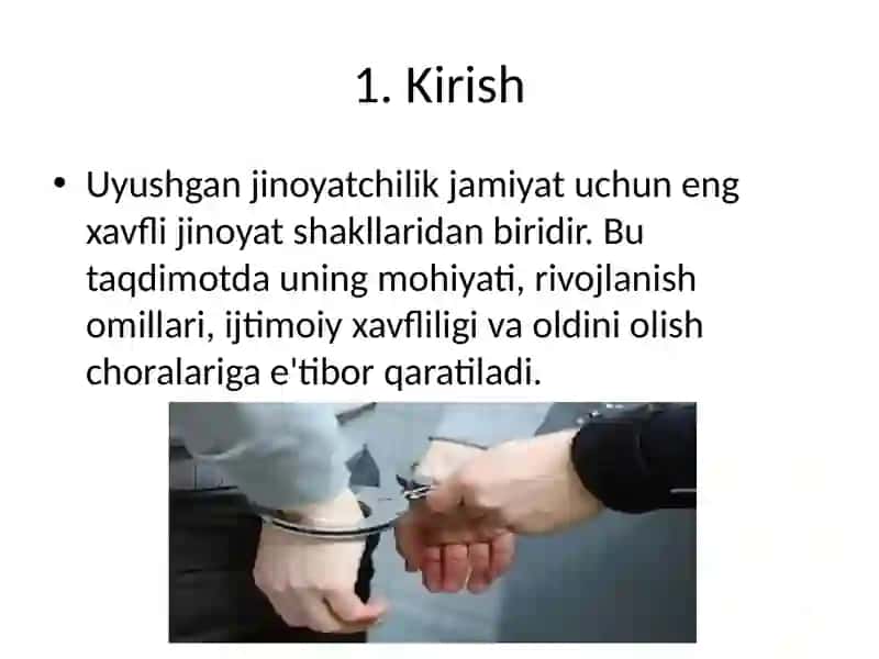 Uyushgan jinoyatchilikning kriminologik tavsifi va uning oldini olish 2