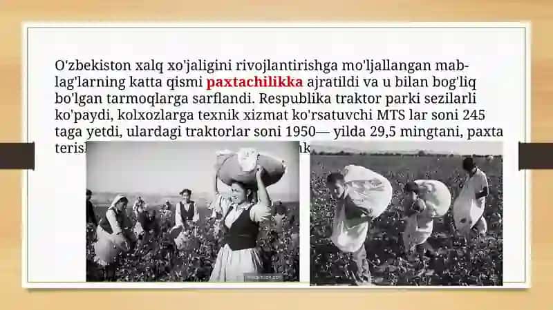 O'zbekistonda 50-70 yillarda paxta yakkahokimligining kuchayishi va ekologik muammolarning kelib chiqishi 2
