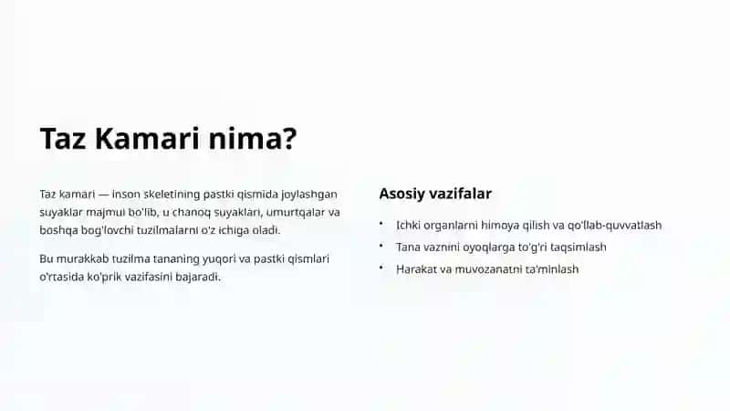 Taz Kamari Suyaklari: Tuzilishi va Vazifalari 2