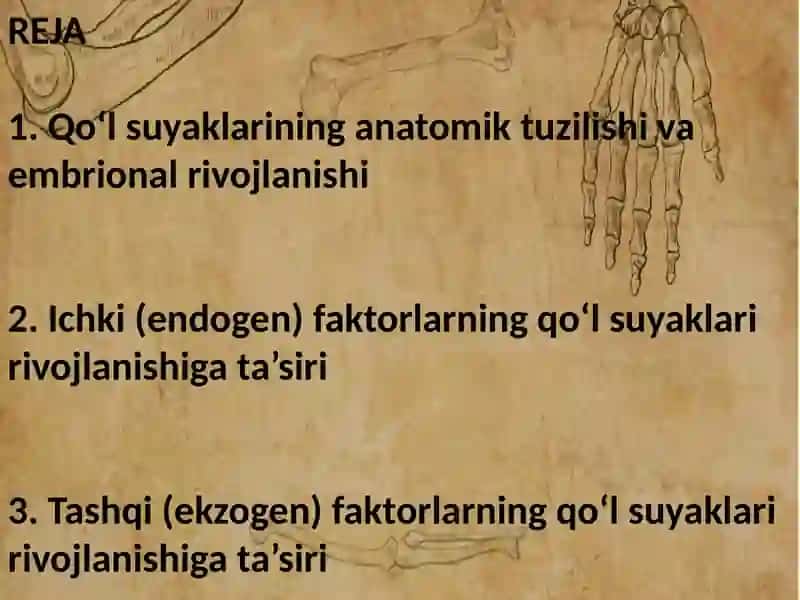 QO‘L SUYAKLARNING RIVOJLANISHIGA ICHKI VA TASHQI FAKTORLARNING TA‘SIRI 2