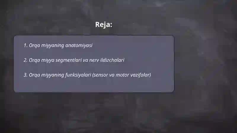 Orqa miyya 2