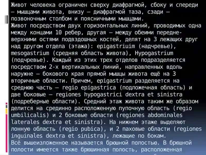 Органография 2