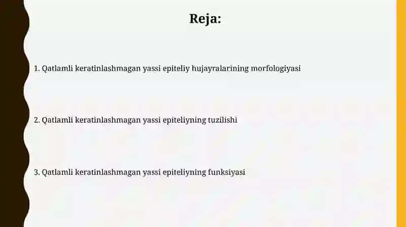Koʻp qavatli mugizlanmaydigan yassi epiteliyning qavatlarini tahlil qilish 2