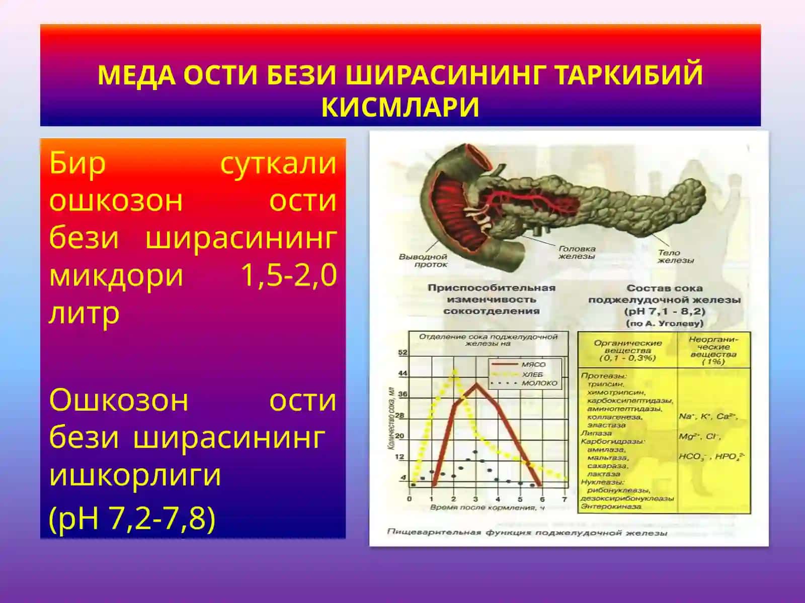 Ошко-зон ости бе-зи физиологияси 2