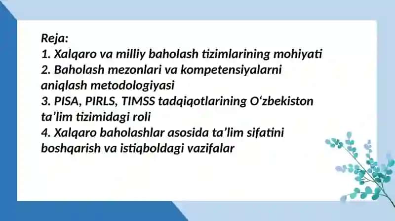 Xalqaro va milliy baholash mohiyati va mezonlari 2
