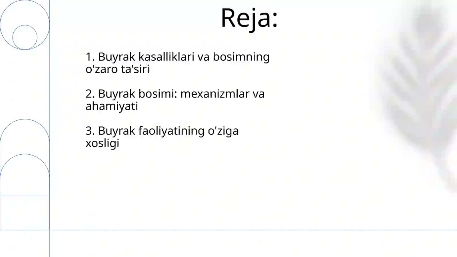 Buyraklar faoliyatining oʻziga xosligi va,,Buyraklar bosimiʼʼ 2