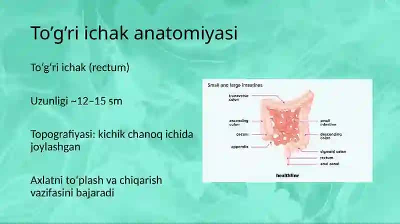 Yo’g’on ichak va to’g’ri ichak kassaliklari 2