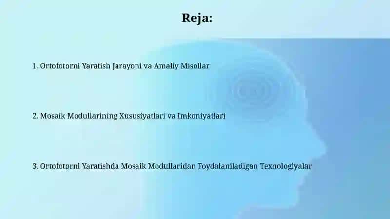 Mozayka modulida ortofotoplan tuzish texnologiyasi 2