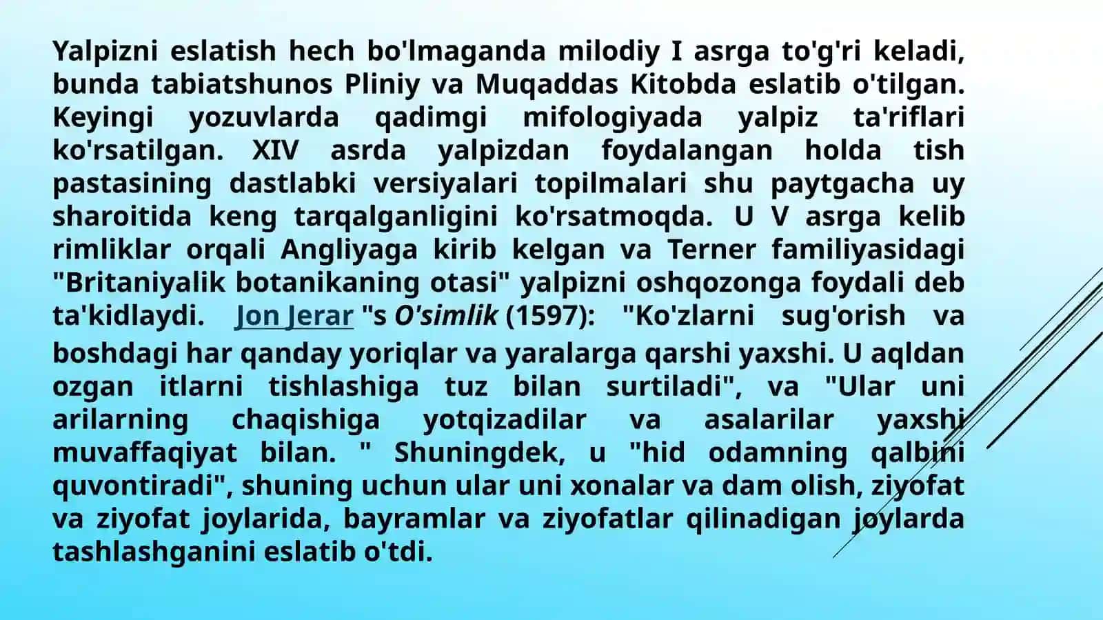 Yalpiz o`simligining o`ziga xos xususiyatlari 2