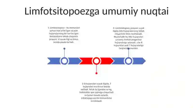 Limfotsitopoezning Xususiyatlari 2