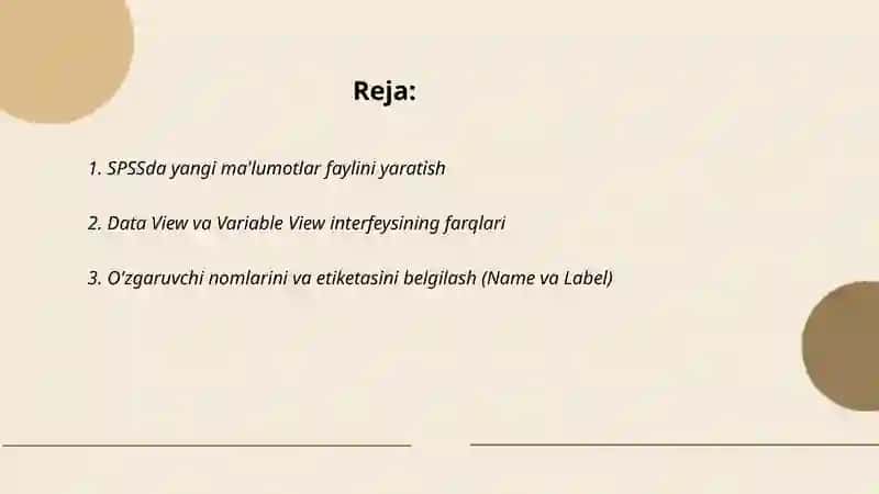 SPSS dasturida malumotlarni kiritish 2