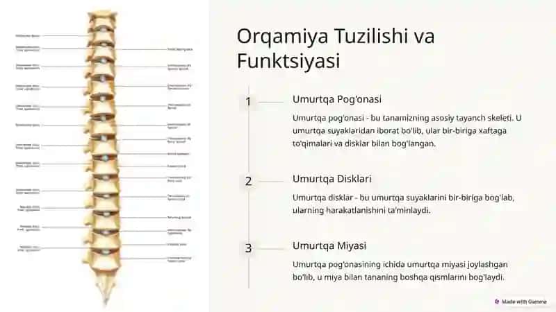 Orqamiya Degenerativ va Distrofik Kasalliklar 2