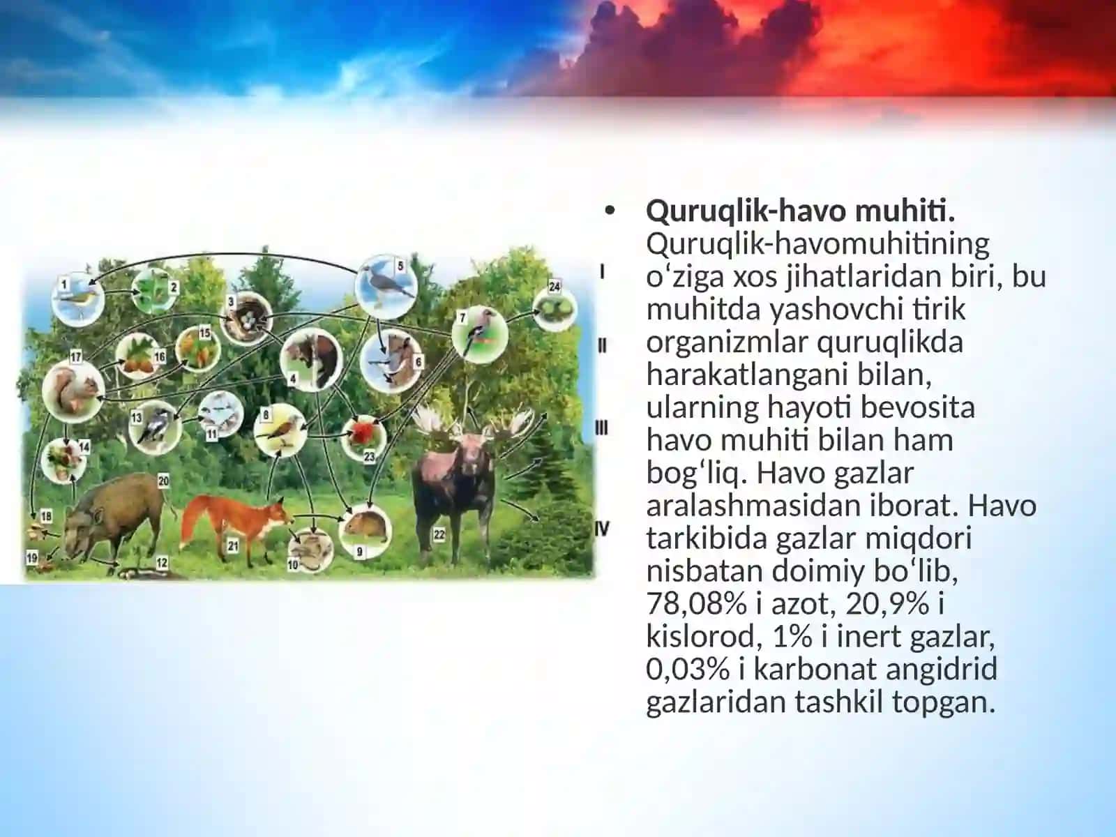 Quruqlik-havo muhiti 2