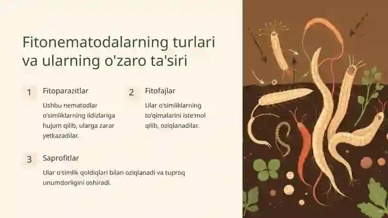Fitonematodalar o'rtasidagi simbiotik va antogonistik munosabatlar 2