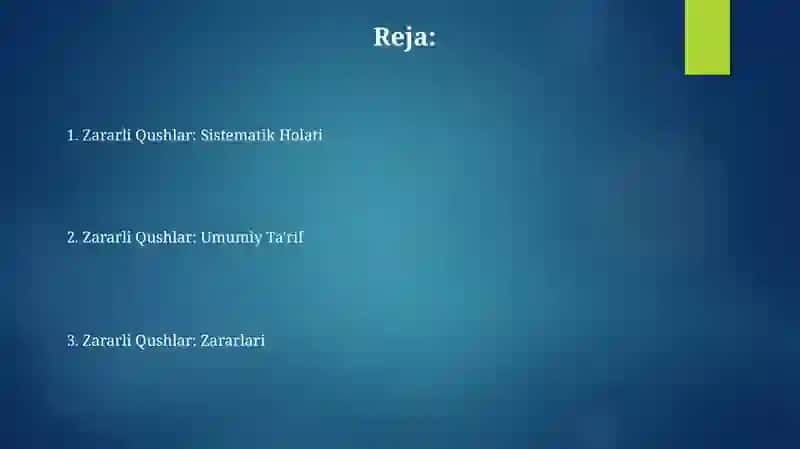 Zararli Qushlar 2