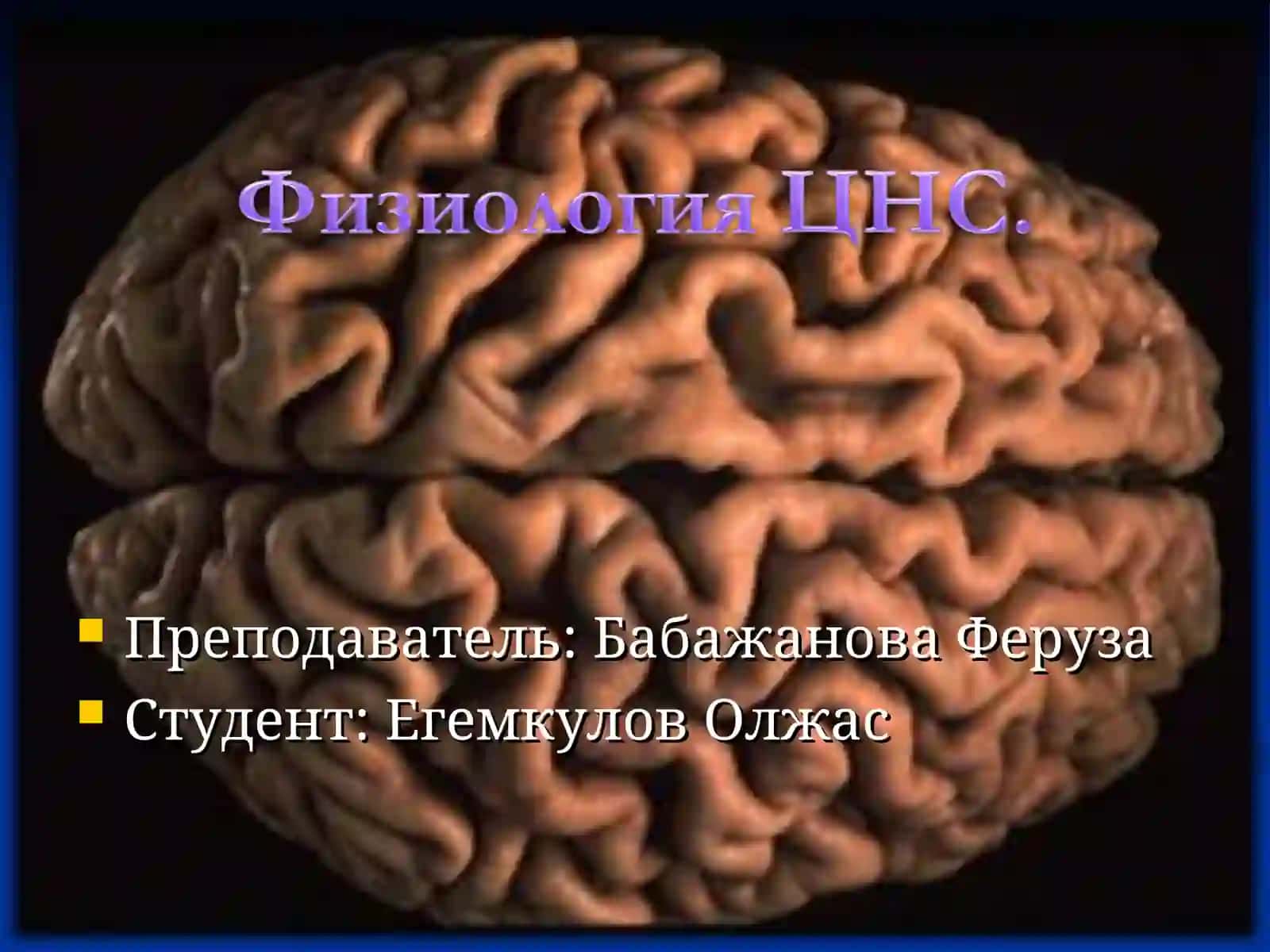 Нейрофизиология 2