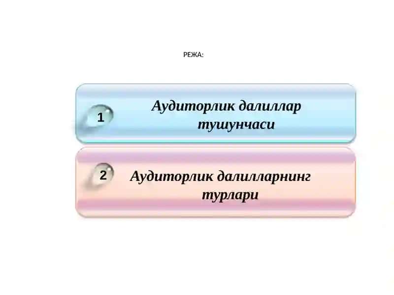 АУДИТОРЛИК ДАЛИЛЛАР 2