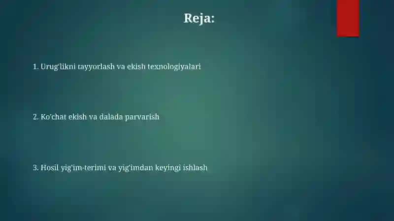 Ochiq yer uchun sabzavot ko'chatlarini yetishtirish uslubi va usullari 2