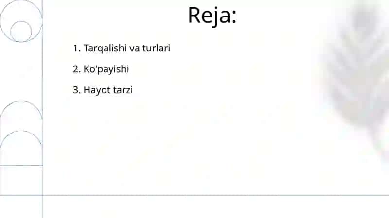 Kupayishi, tarqalishi va turlari 2