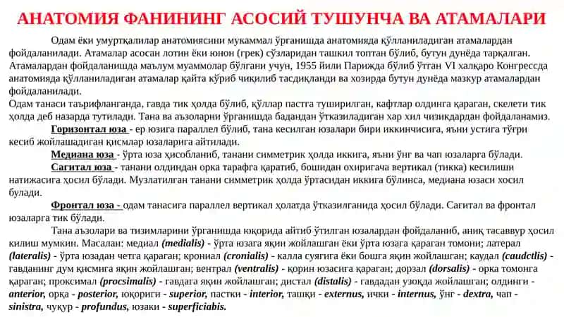 АНАТОМИЯ ФАНИНИНГ АСОСИЙ ТУШУНЧА ВА АТАМАЛАРИ 2