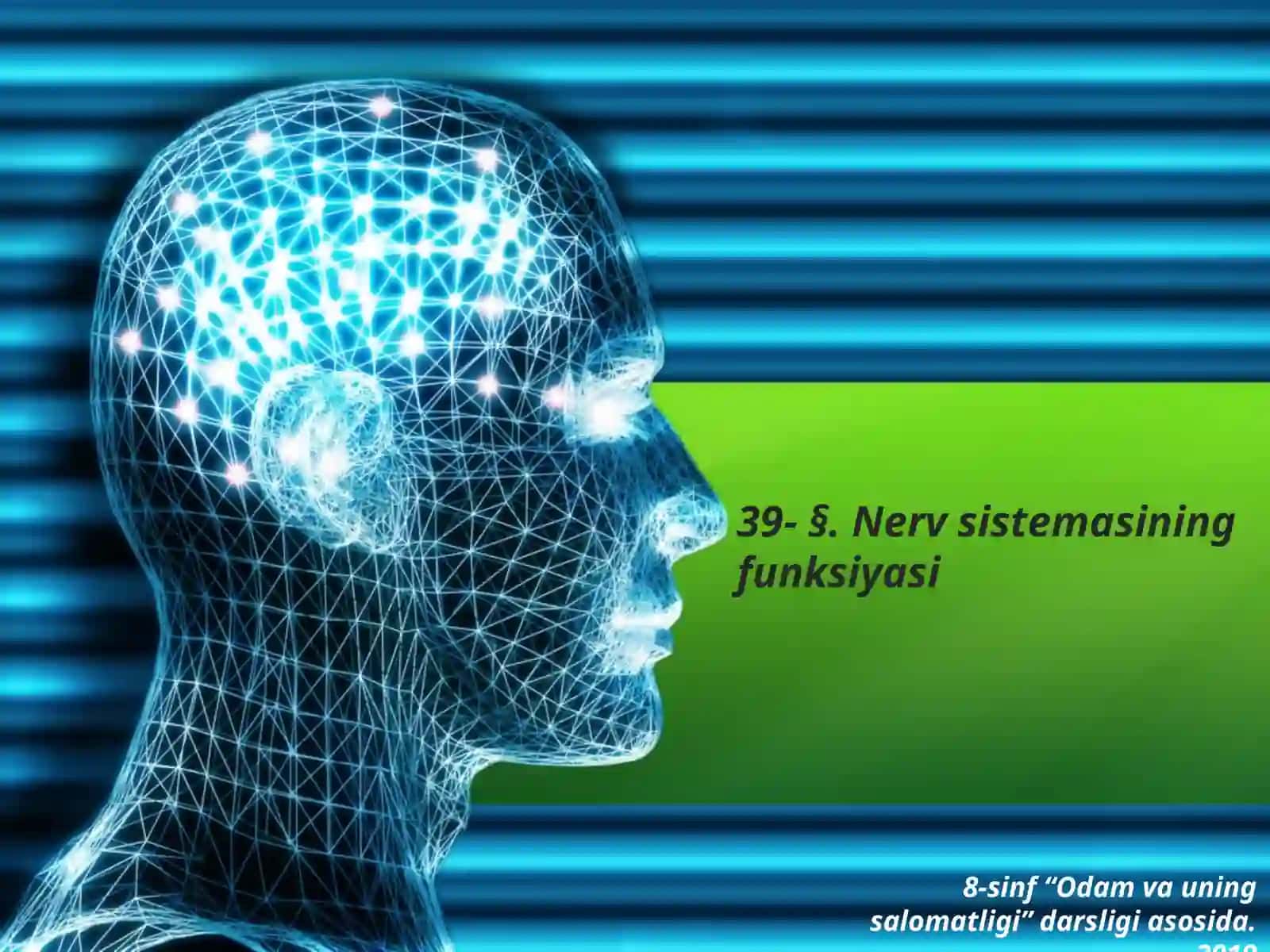 8-sinf Biologiya fanidan ochiq dars ishlanma. Nerv sistemasining funksiyasi 2