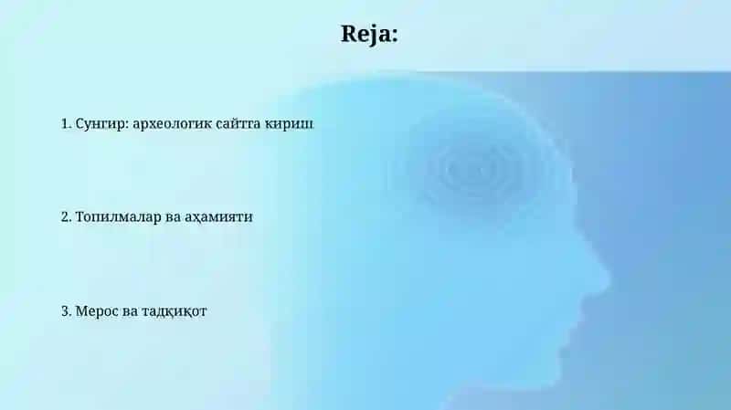 Sungir arxeologik obidasi 2