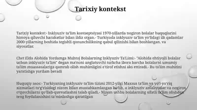 Chet Elda Alohida Yordamga Muhtoj Bolalarning Inklyuziv Ta'Limi 2