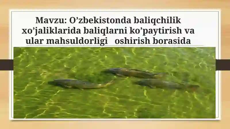 Mahmudova Dilnavozxonning kimyo texnologiyalari va tabiiy fanlar fakulteti biologiya yo’nalishi 03-23 guruh talabasi kurs ishi 2