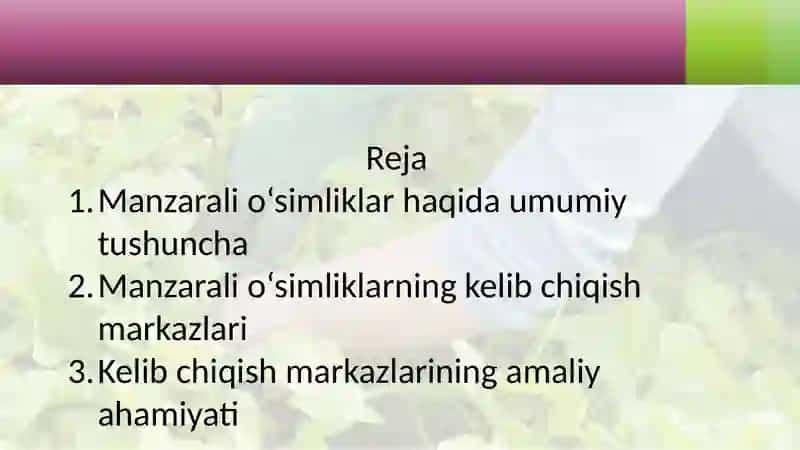 Manzarali o'simliklarning kelib chiqish markazlari 2
