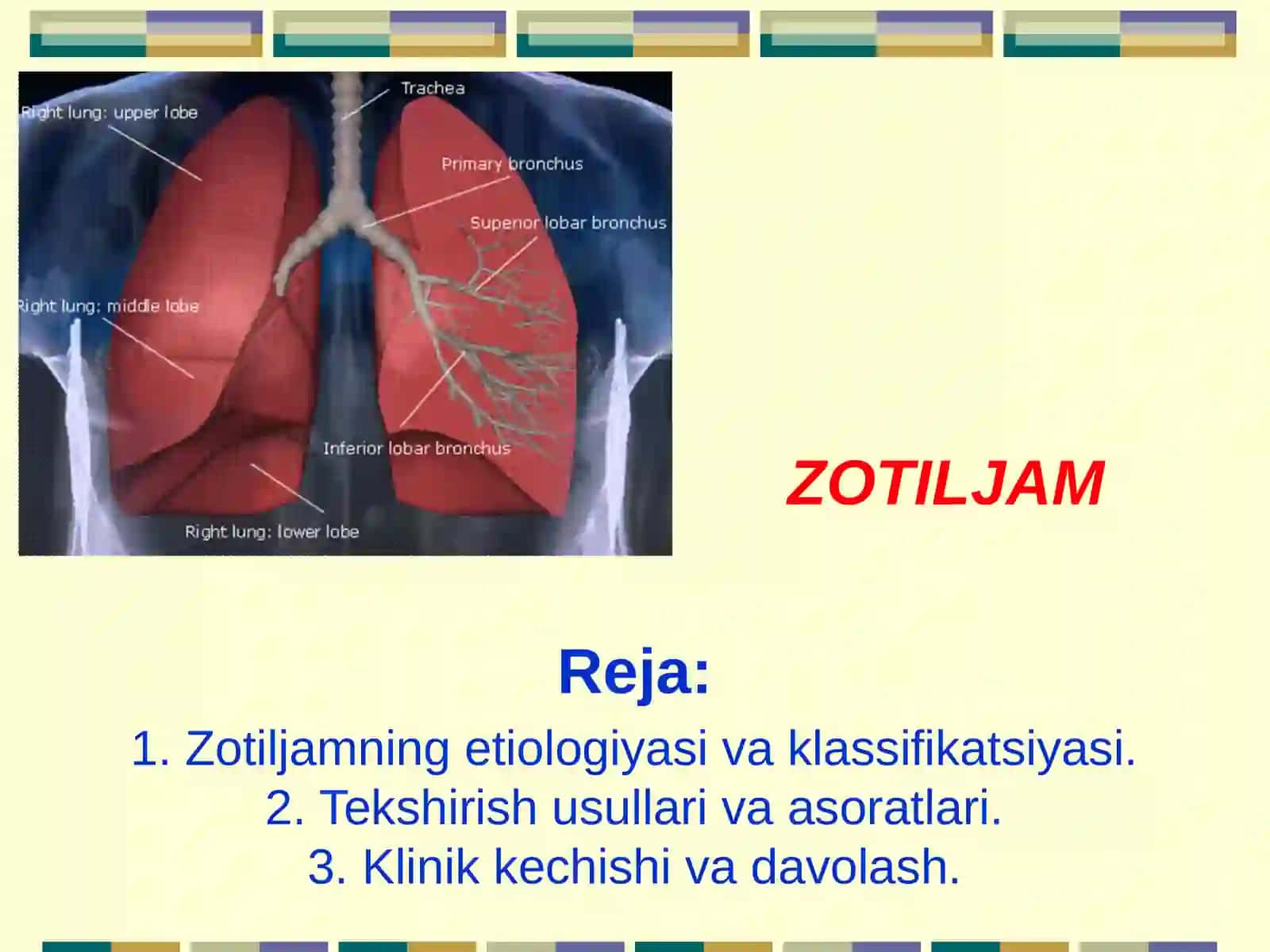 zotiljam 2