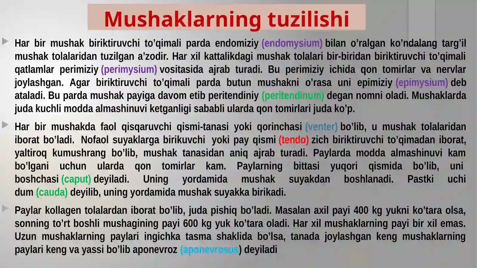 Mushaklar haqida ilm-MIOLOGIYA Umumiy ma’lumotlar 2
