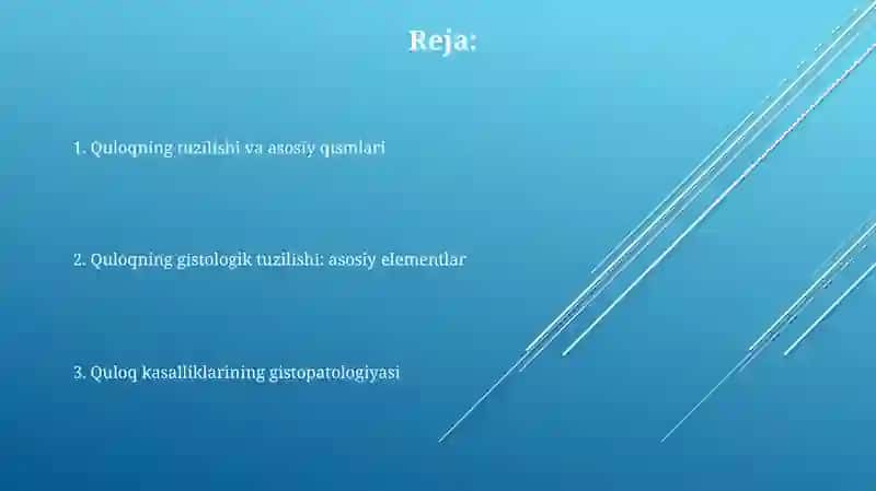 Sezgiaʼzolari.Quloqgistologiyasi 2
