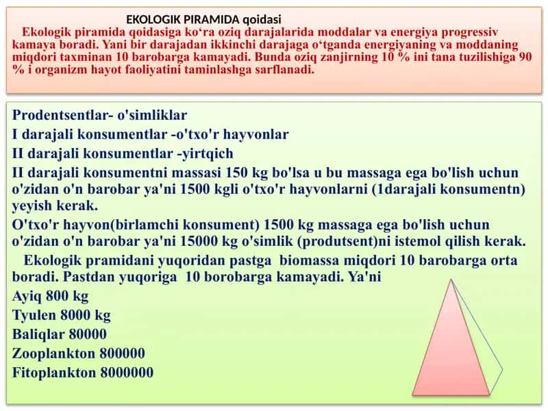 Ekologik piramida qoidasi 2