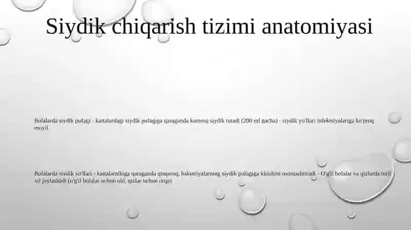 Bolalarda Siydik YoʻLi Siydik Pufagi Siydik Chiqarish Kanali Anatomo-Fiziologik Hususiyatlari 2