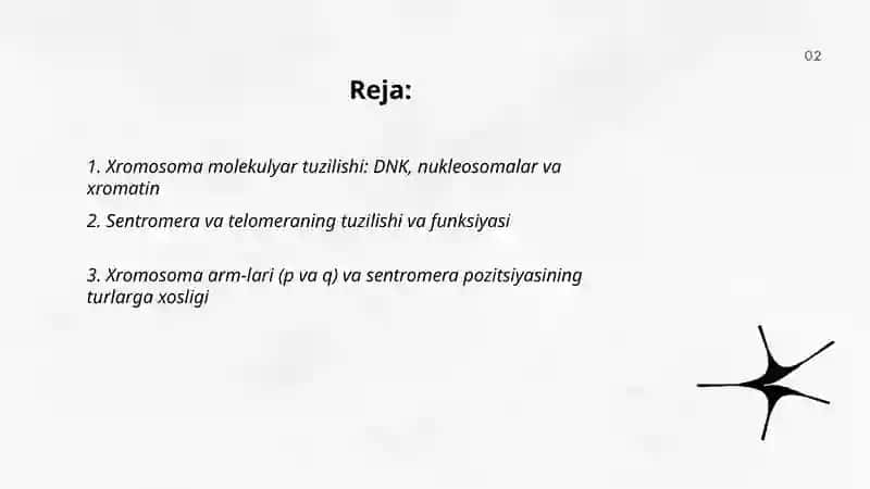Tirik mavjudotlar xromaso'malning tuzilishi 2