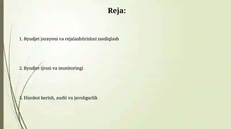 Byudjet jarayoni, rejalashtirish tasdiqlash va ijro 2