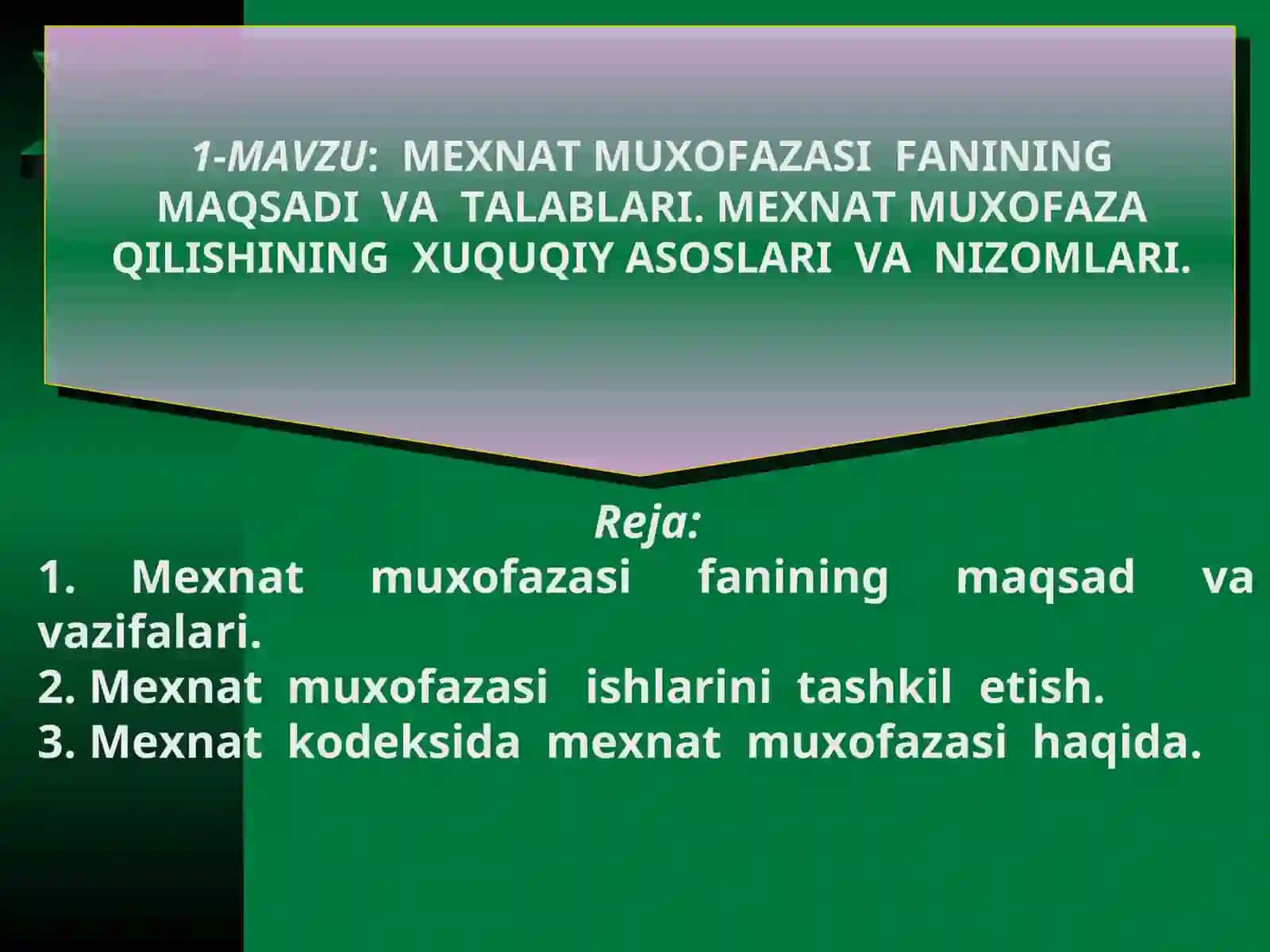 MEXNAT MUXOFAZASI FANINING MAQSADI VA TALABLARI 2