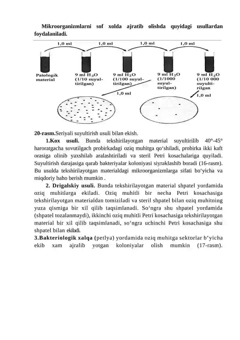 Aerob va anaerob bakteriyalarning sof kulturalarini ajratib olish (1 kun) 2