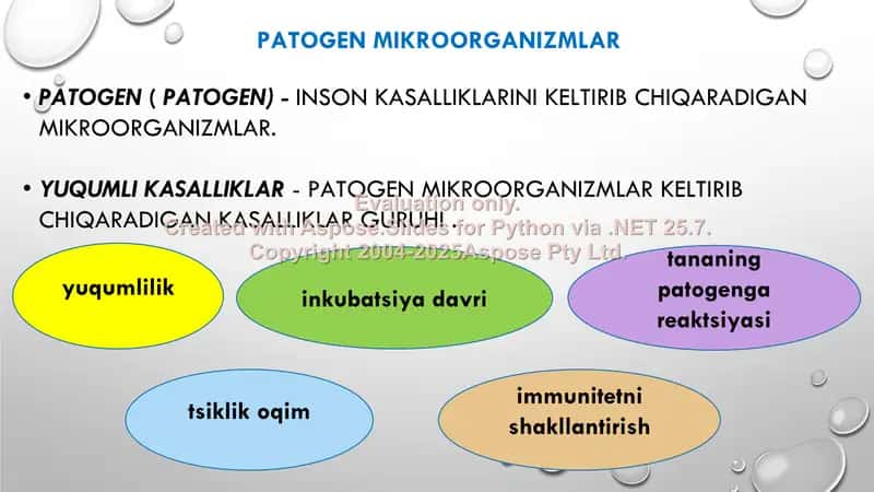 Ichakning yuqumli kasalliklari, zoonozlar, gelmintozlar va ularning oldini olish 2
