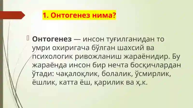 Онтогенез 2
