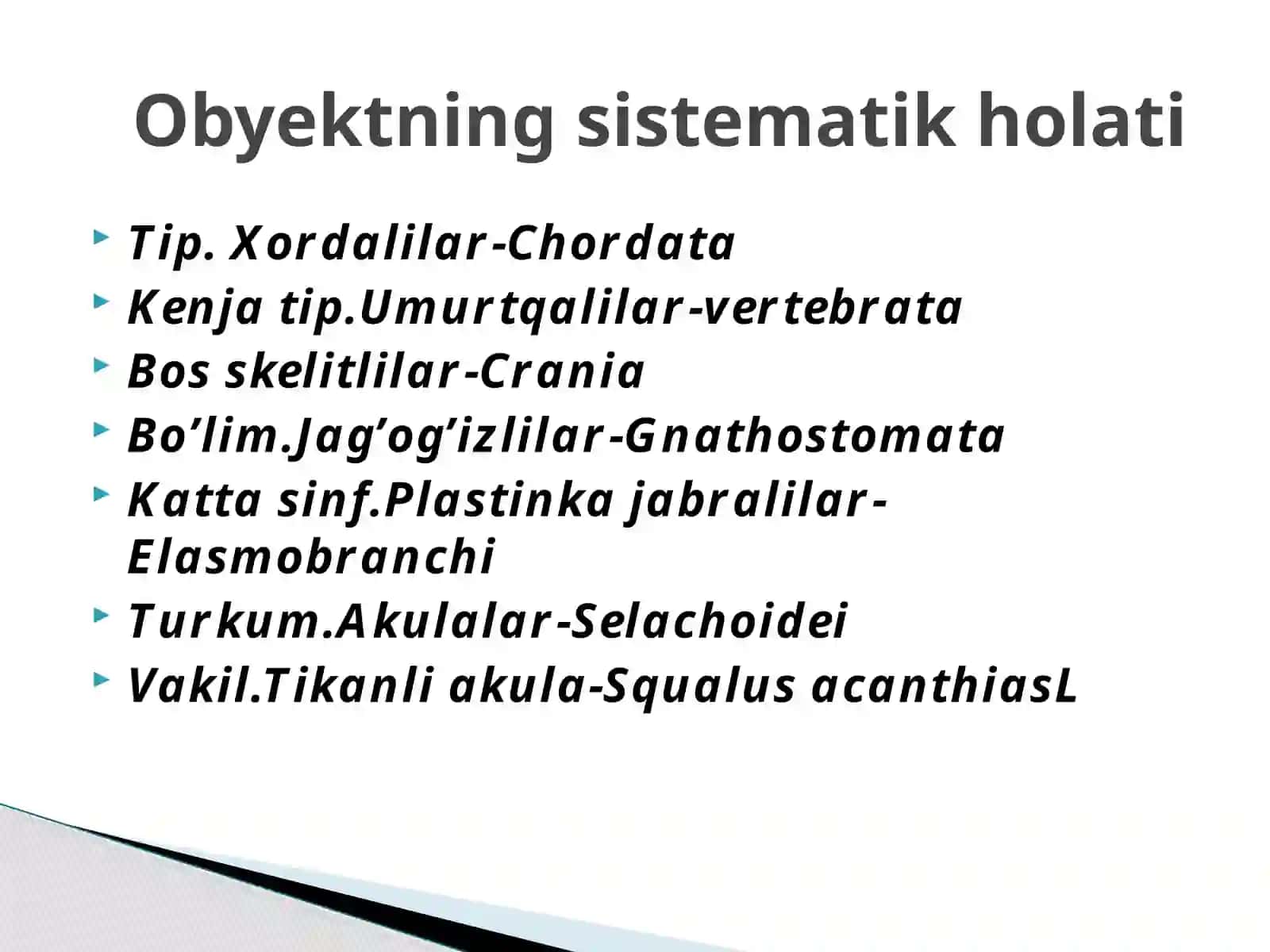 Tikanli Akaulaning Tashqi va Ichki Tuzilishi 2