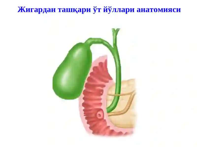 Механик сариқлик, постхолецистэктомик синдром 2